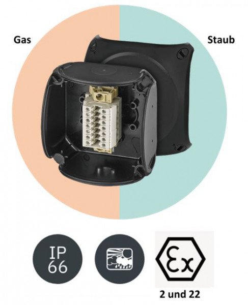 Artikelbild 1 des Artikels RX 0207 T Klemmkasten ATEX 2-22, 7pol bis 4 qm