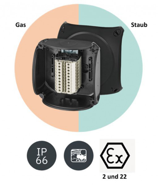 Artikelbild 1 des Artikels RX 0610 T Klemmkasten ATEX 2-22, 10pol bis 6 qm