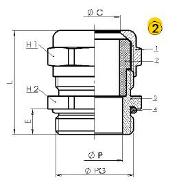 Artikelbild 1 des Artikels MSD Kabelverschraubung PG21L Messing vernickelt